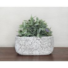 Small Off White Oval Cement Pot