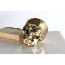 Brass Skull - Cleared Décor