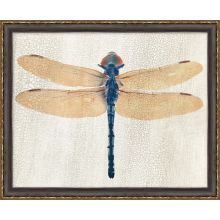Dragonfly 1 22W X 18H
